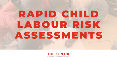 The Centre's Rapid Child Labour Risk Assessment in Line with the CSDDD